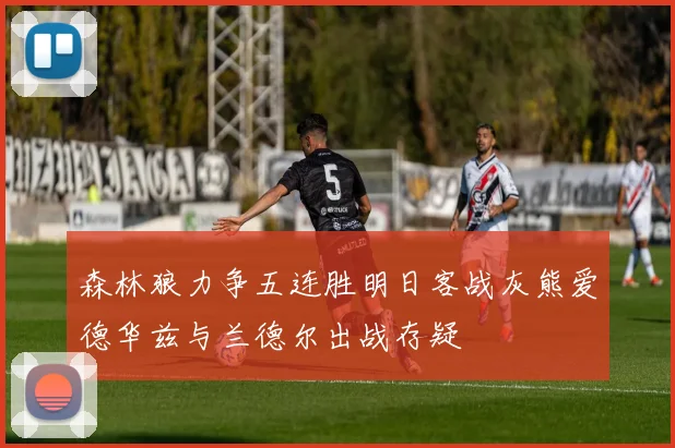 森林狼力争五连胜明日客战灰熊爱德华兹与兰德尔出战存疑