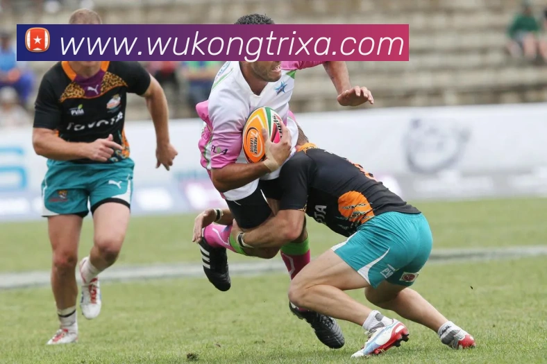 多媒体互动体验